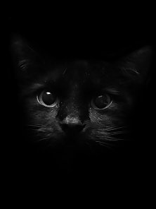 9798